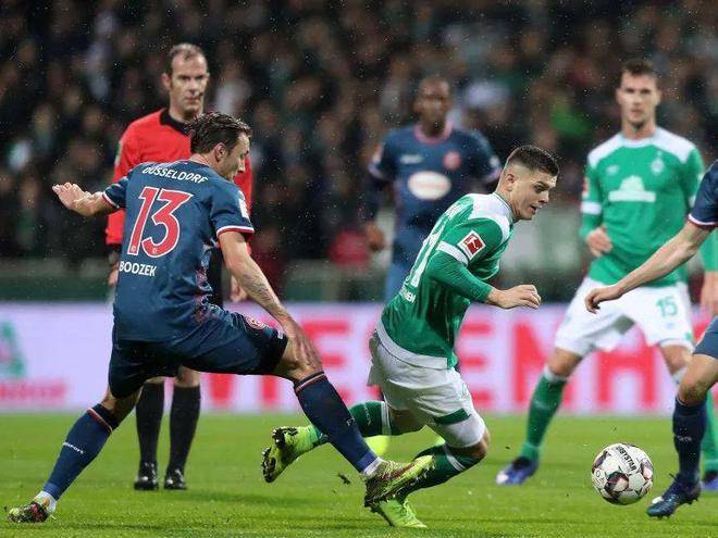 的蓬勃发展 的蓬勃发展