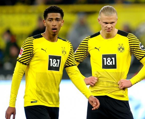 野辅联动与 野辅联动与